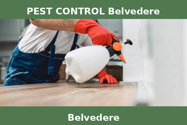PEST CONTROL Belvedere